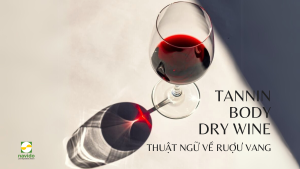 Những thuật ngữ cơ bản khi thưởng thức rượu vang